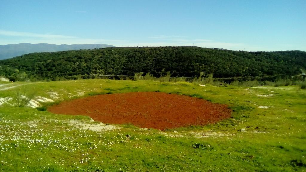 Apartamento O Casa Rural Roquemar Гихо-де-Гранадилья Экстерьер фото